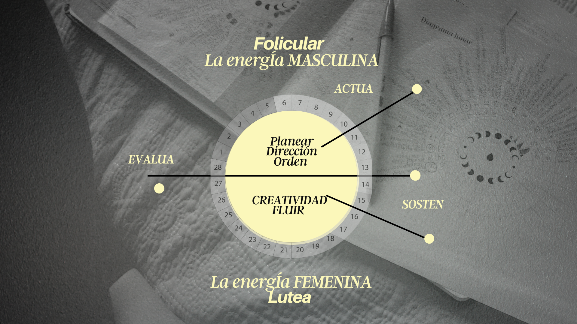 Diagrama del ciclo menstrual: fase folicular, la energía masculina (planear, dirección, orden); fase lútea, la energía femenina (creatividad, fluir); con los momentos actúa, evalúa y sostén